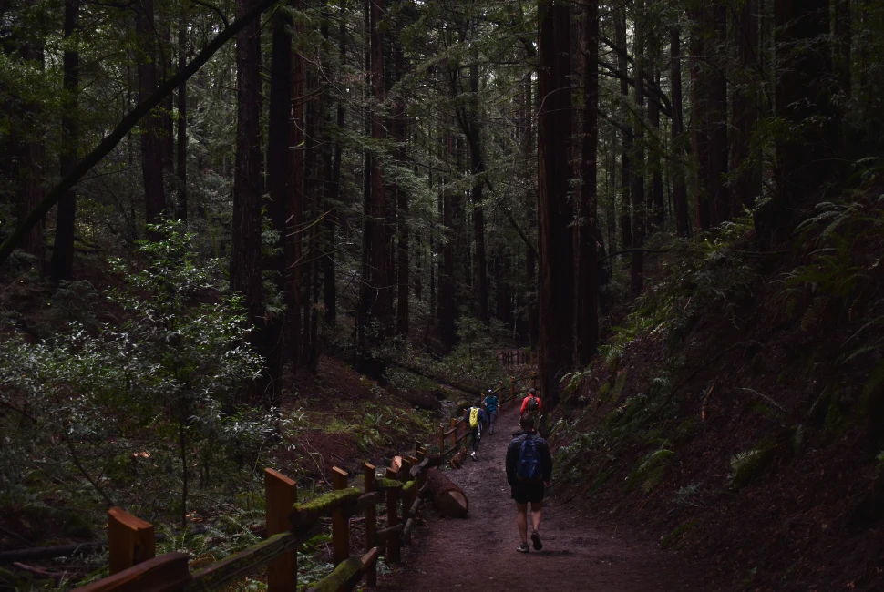From Oakland to Adventure: Road Trips to Explore from the City