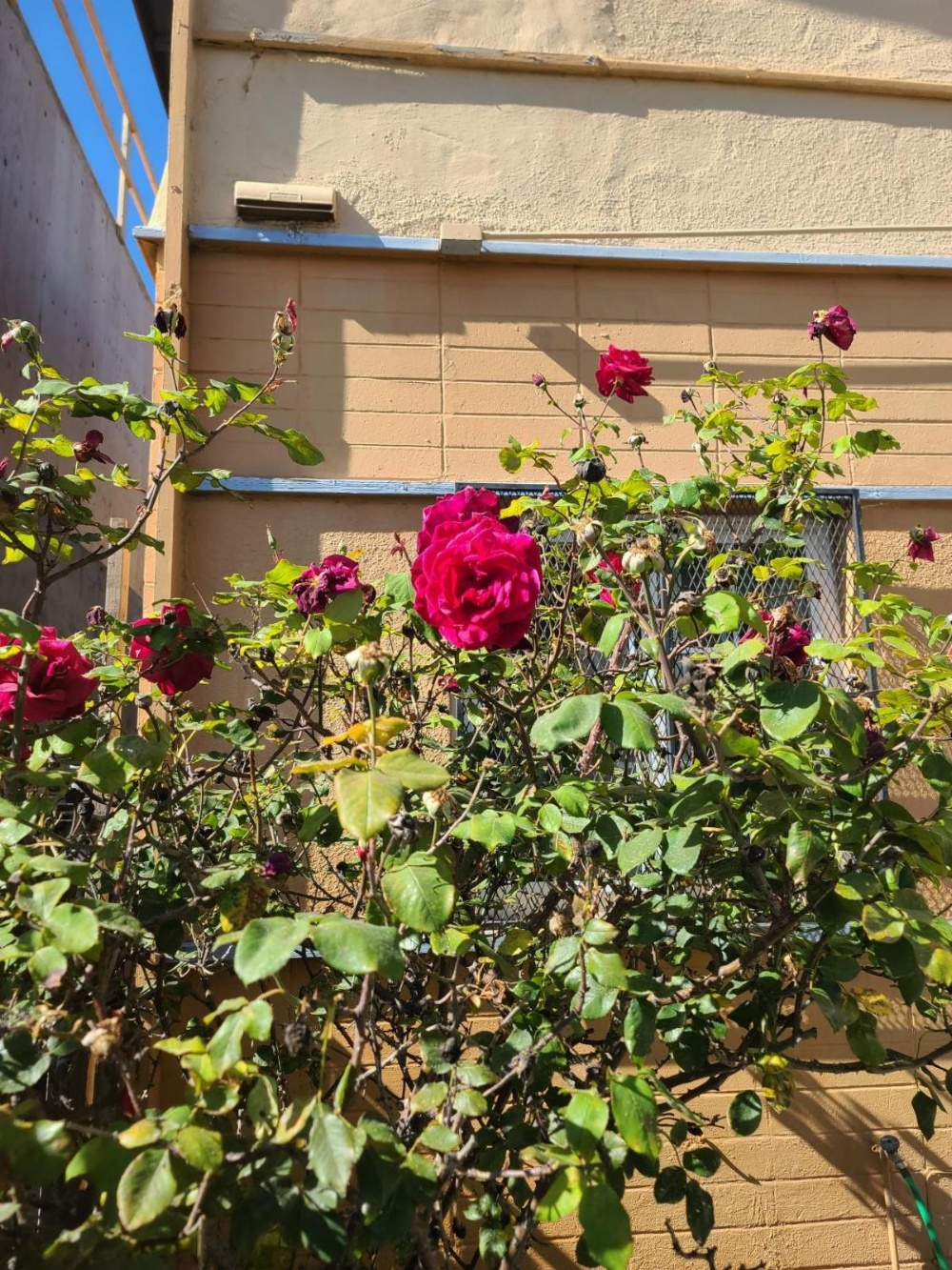 Nights Inn Motel Main image