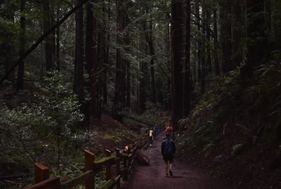 From Oakland to Adventure: Road Trips to Explore from the City